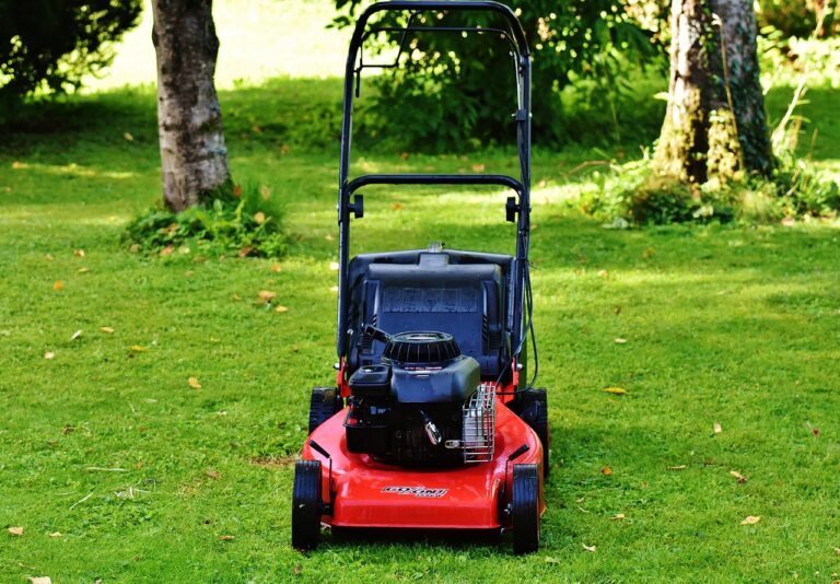 lawn mower, gardening, mow-1593890.jpg